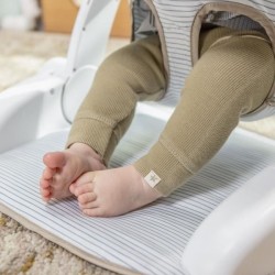 INGENUITY Casi le zebre, Siege bébé d'apprentissage - apporte suppor