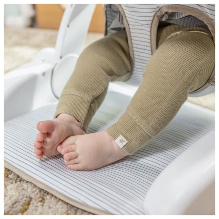 INGENUITY Casi le zebre, Siege bébé d'apprentissage - apporte support a bébé, Cadeau Noel bébé INGENUITY Casi le zebre, Siege bébé d'apprentissage - apporte support a bébé, Cadeau Noel bébé