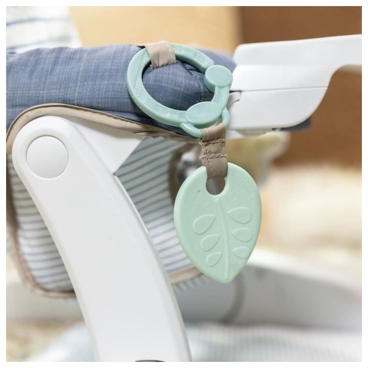 INGENUITY Casi le zebre, Siege bébé d'apprentissage - apporte support a bébé, Cadeau Noel bébé INGENUITY Casi le zebre, Siege bébé d'apprentissage - apporte support a bébé, Cadeau Noel bébé