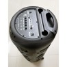 Enceinte karaoké - INOVALLEY - Lumineuse - 1000 Watts - Bluetooth V5.