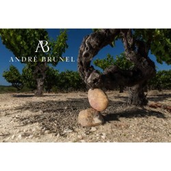Domaine André Brunel 2024 L'instant rosé Méditérranée - Vin rosé