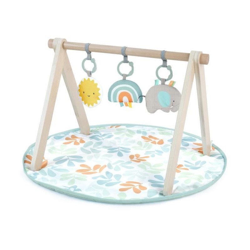 INGENUITY Tapis d'éveil bébé Sun Valley, arche de jeu en bois - 3 j