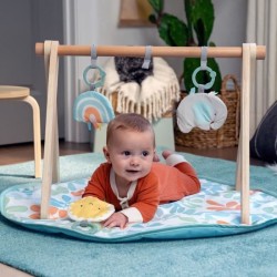 INGENUITY Tapis d'éveil bébé Sun Valley, arche de jeu en bois - 3 j