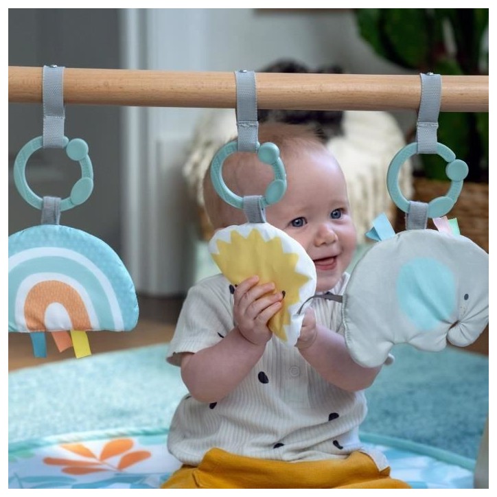 INGENUITY Tapis d'éveil bébé Sun Valley, arche de jeu en bois - 3 jouets amovibles - pliable INGENUITY Tapis d'éveil bébé Sun Valley, arche de jeu en bois - 3 jouets amovibles - pliable