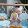 INGENUITY Tapis d'éveil bébé Sun Valley, arche de jeu en bois - 3 j
