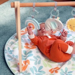INGENUITY Tapis d'éveil bébé Sun Valley, arche de jeu en bois - 3 j