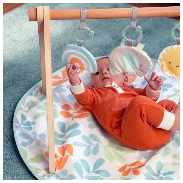 INGENUITY Tapis d'éveil bébé Sun Valley, arche de jeu en bois - 3 jouets amovibles - pliable INGENUITY Tapis d'éveil bébé Sun Valley, arche de jeu en bois - 3 jouets amovibles - pliable