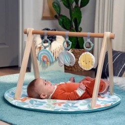INGENUITY Tapis d'éveil bébé Sun Valley, arche de jeu en bois - 3 j