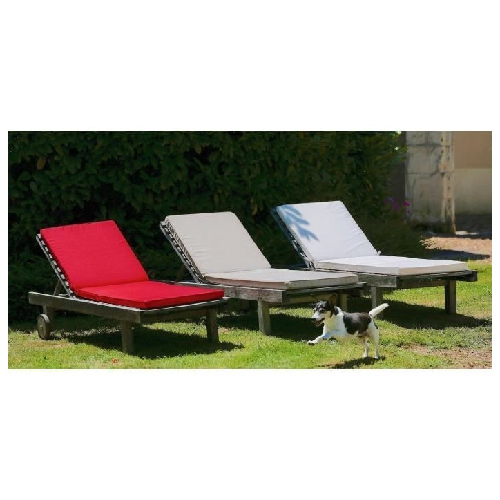 JARDIN PRIVE Coussin bain de soleil MONTE CARLO - 185 x 55 x 6 cm - Gris ardoise JARDIN PRIVE Coussin bain de soleil MONTE CARLO - 185 x 55 x 6 cm - Gris ardoise