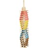 Técap Multicolor - Jeu d'équilibre et de construction - JEUJURA - 20