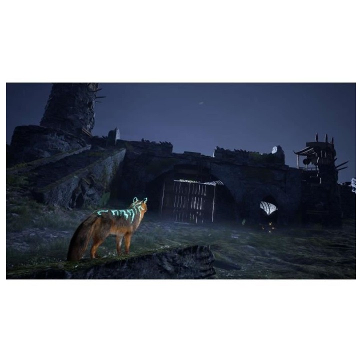 Spirit of the North 2 - Jeu PS5 Spirit of the North 2 - Jeu PS5