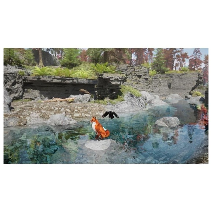Spirit of the North 2 - Jeu PS5 Spirit of the North 2 - Jeu PS5
