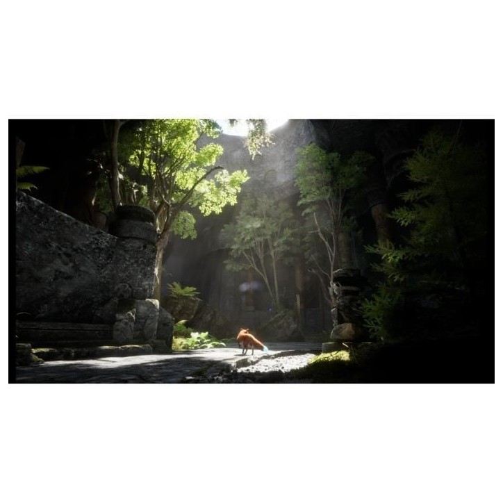 Spirit of the North 2 - Jeu PS5 Spirit of the North 2 - Jeu PS5