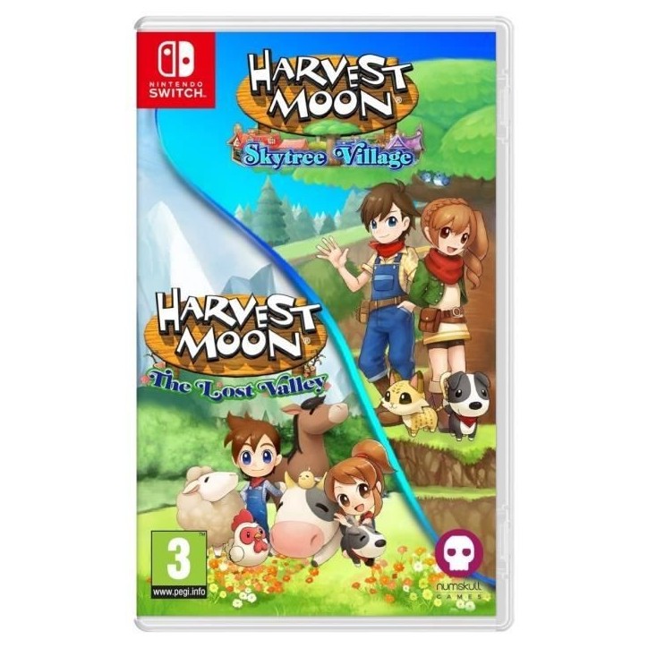Harvest Moon The Lost Valley + Skytree Village - Jeu Nintendo Switch Harvest Moon The Lost Valley + Skytree Village - Jeu Nintendo Switch