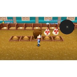 Harvest Moon The Lost Valley + Skytree Village - Jeu Nintendo Switch
