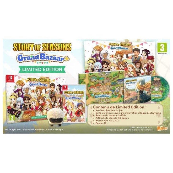 Story of Seasons : Grand Bazaar - Jeu Nintendo Switch - Edition limitée Story of Seasons : Grand Bazaar - Jeu Nintendo Switch - Edition limitée
