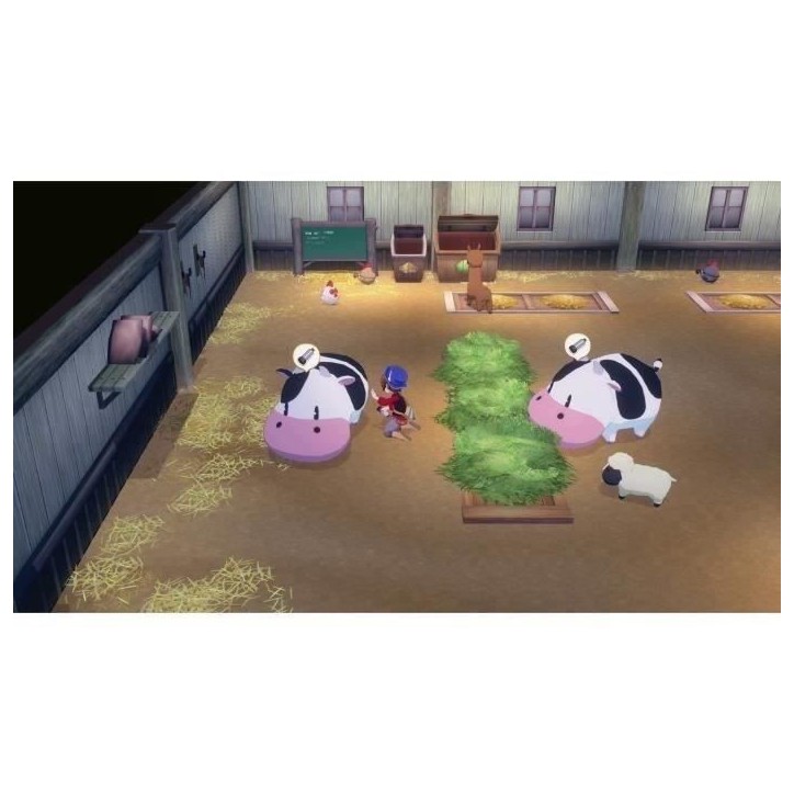 Story of Seasons : Grand Bazaar - Jeu Nintendo Switch - Edition limitée Story of Seasons : Grand Bazaar - Jeu Nintendo Switch - Edition limitée