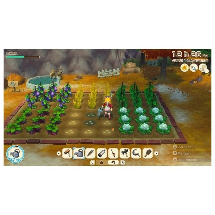 Story of Seasons : Grand Bazaar - Jeu Nintendo Switch 2 Story of Seasons : Grand Bazaar - Jeu Nintendo Switch 2