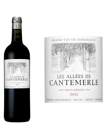 Les Allées de Cantemerle 2019 Haut Médoc - Vin rouge de Bordeaux