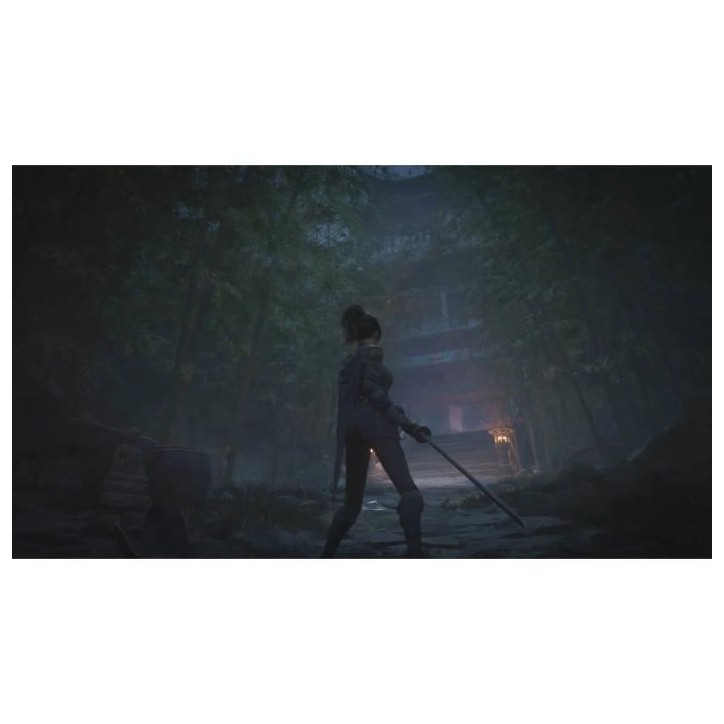 WUCHANG : Fallen Feathers - Day One Edition - Jeu PS5 WUCHANG : Fallen Feathers - Day One Edition - Jeu PS5