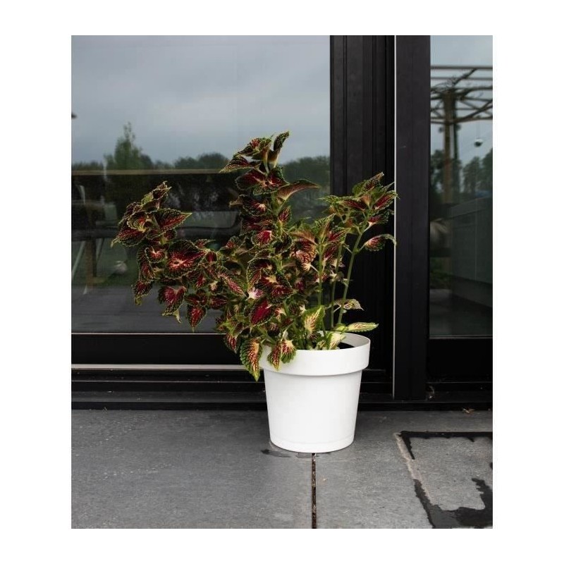Pot a réserve d'eau - GARDEN ID Glamour - Blanc 40 cm - Surface granu Pot a réserve d'eau - GARDEN ID Glamour - Blanc 40 cm - Surface granu
