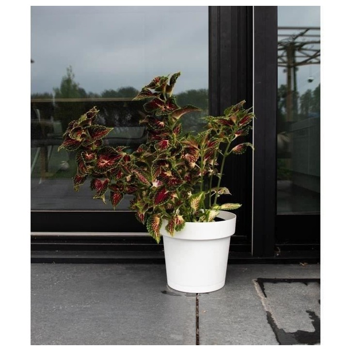 Pot a réserve d'eau - GARDEN ID Glamour - Blanc 40 cm - Surface granuleuse - Intérieur/extérieur - Design épuré.