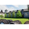 Kavalan Whisky Classic Single Malt - 40%vol - 50 cl avec étui
