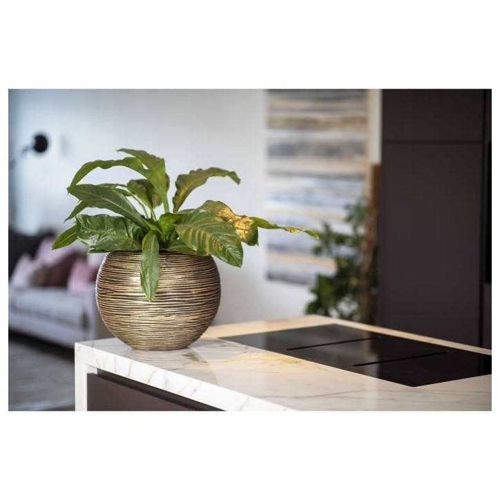 CAPI EUROPE Vase boule RIB NL - 40x32 cm - Noir et Or CAPI EUROPE Vase boule RIB NL - 40x32 cm - Noir et Or