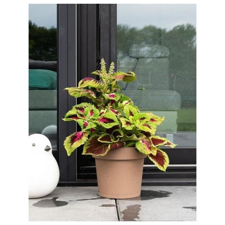 Pot a réserve d'eau - GARDEN ID Glamour - Taupe 40 cm - Surface granuleuse - Intérieur/extérieur - Design épuré - Contient