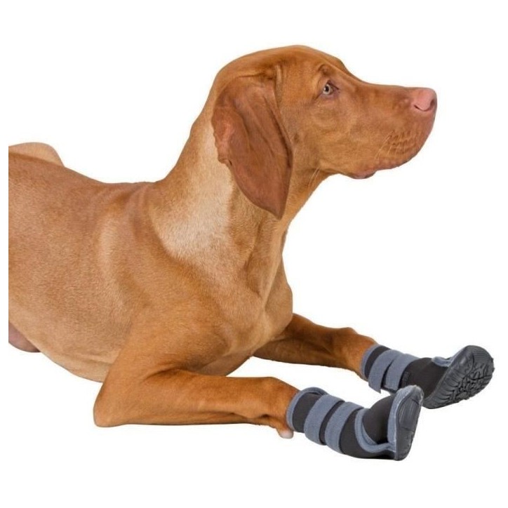 Protege-pattes pour chien - Kerbl - Active - Taille unique - Caoutchouc respirant - Antidérapant Protege-pattes pour chien - Kerbl - Active - Taille unique - Caoutchouc respirant - Antidérapant