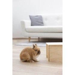 Abri pour rongeurs - Beige - Toit amovible - Montage simple - Pour ham