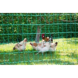 KERBL - Filet pour les poules 50 m - 106 cm - double pointe - vert - n