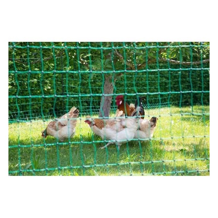 KERBL - Filet pour les poules 50 m - 106 cm - double pointe - vert - non électrique KERBL - Filet pour les poules 50 m - 106 cm - double pointe - vert - non électrique