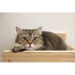 KERBL - Hamac mural pour chats - TIMBER - 38 x 33,5 x 16 cm - Bois mas
