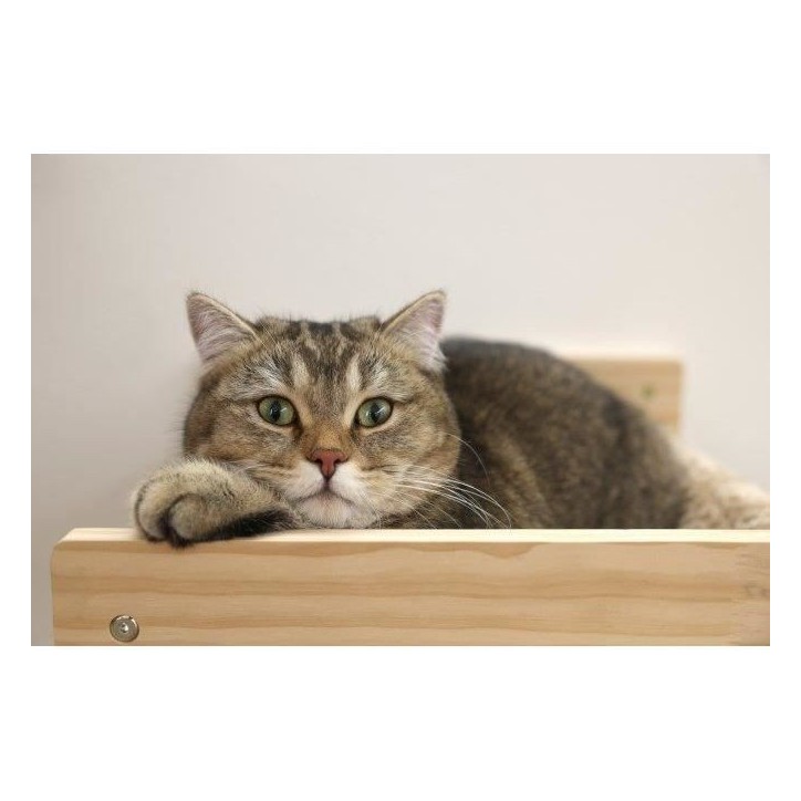 KERBL - Hamac mural pour chats - TIMBER - 38 x 33,5 x 16 cm - Bois massif - Tissu peluche KERBL - Hamac mural pour chats - TIMBER - 38 x 33,5 x 16 cm - Bois massif - Tissu peluche