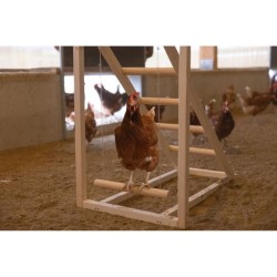 Tour d'escalade pour poules - KERBL - 85 x 55 x 76 cm - Avec balançoi