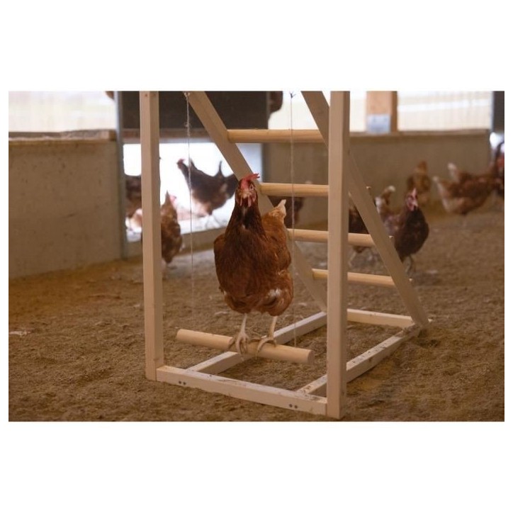 Tour d'escalade pour poules - KERBL - 85 x 55 x 76 cm - Avec balançoire - Echelle robuste Tour d'escalade pour poules - KERBL - 85 x 55 x 76 cm - Avec balançoire - Echelle robuste