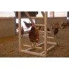 Tour d'escalade pour poules - KERBL - 85 x 55 x 76 cm - Avec balançoi