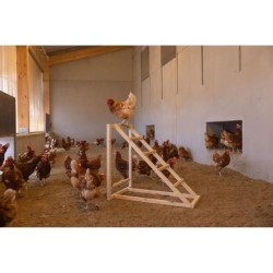 Tour d'escalade pour poules - KERBL - 85 x 55 x 76 cm - Avec balançoi