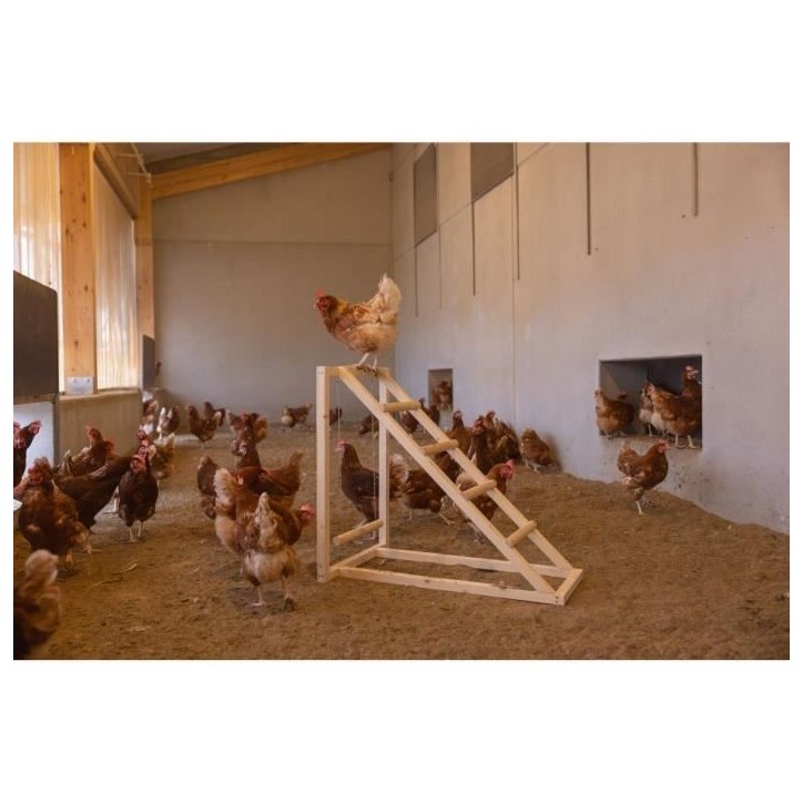 Tour d'escalade pour poules - KERBL - 85 x 55 x 76 cm - Avec balançoire - Echelle robuste Tour d'escalade pour poules - KERBL - 85 x 55 x 76 cm - Avec balançoire - Echelle robuste