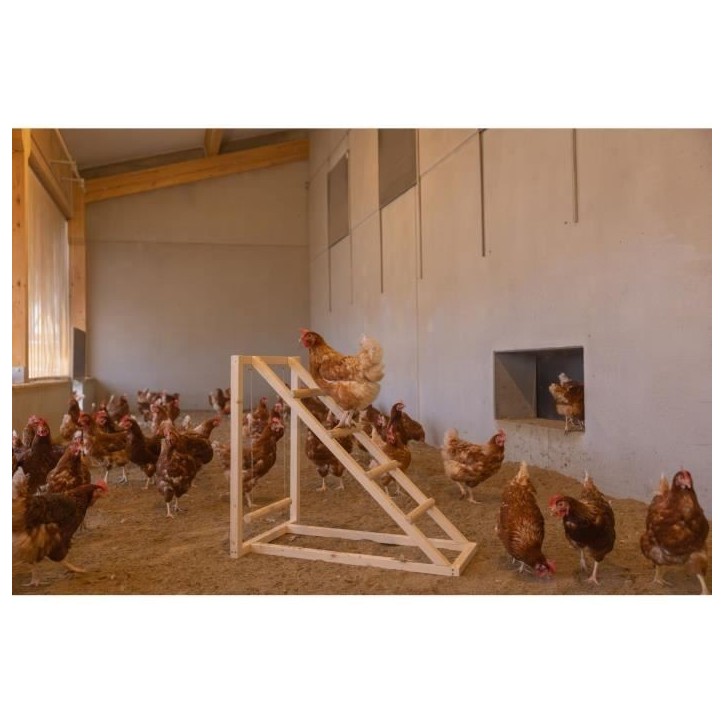 Tour d'escalade pour poules - KERBL - 85 x 55 x 76 cm - Avec balançoire - Echelle robuste Tour d'escalade pour poules - KERBL - 85 x 55 x 76 cm - Avec balançoire - Echelle robuste
