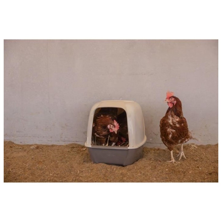 Pondoir pour poules - KERBL - 52 x 39 x 39 cm