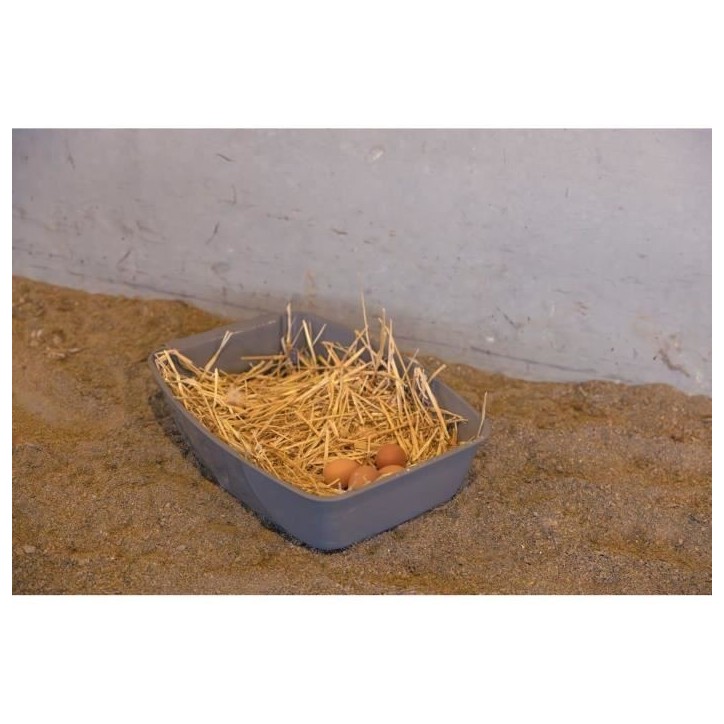 Pondoir pour poules - KERBL - 52 x 39 x 39 cm