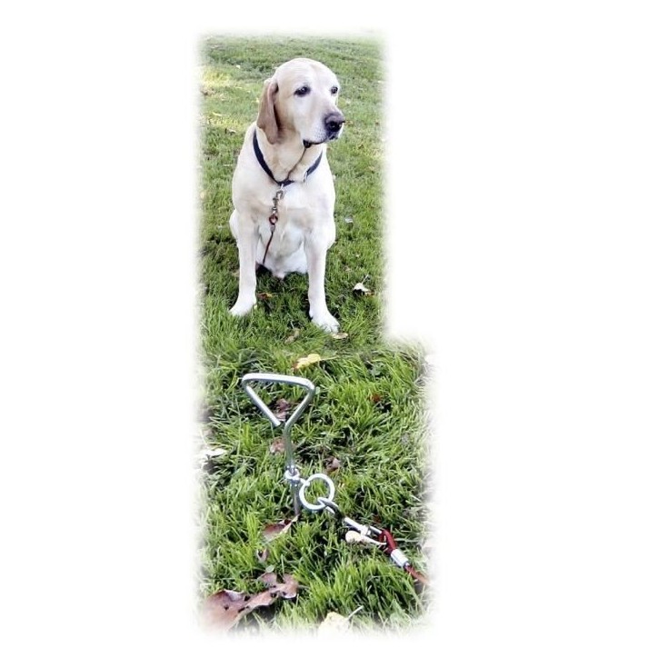 KERBL - Laisse d'attache avec ancrage spirale pour chien