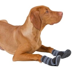 KERBL - Chaussures pour chien - ACTIVE - Gris/noir - Taille L