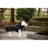 KERBL - Forks Manteau de Pluie pour Chien Noir Taille XL - 80626