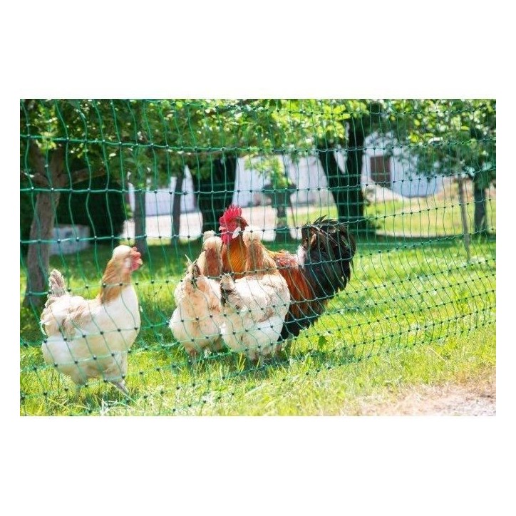 KERBL - Filet de protection volaille - 25 m - 106 cm - Double pointe - Vert