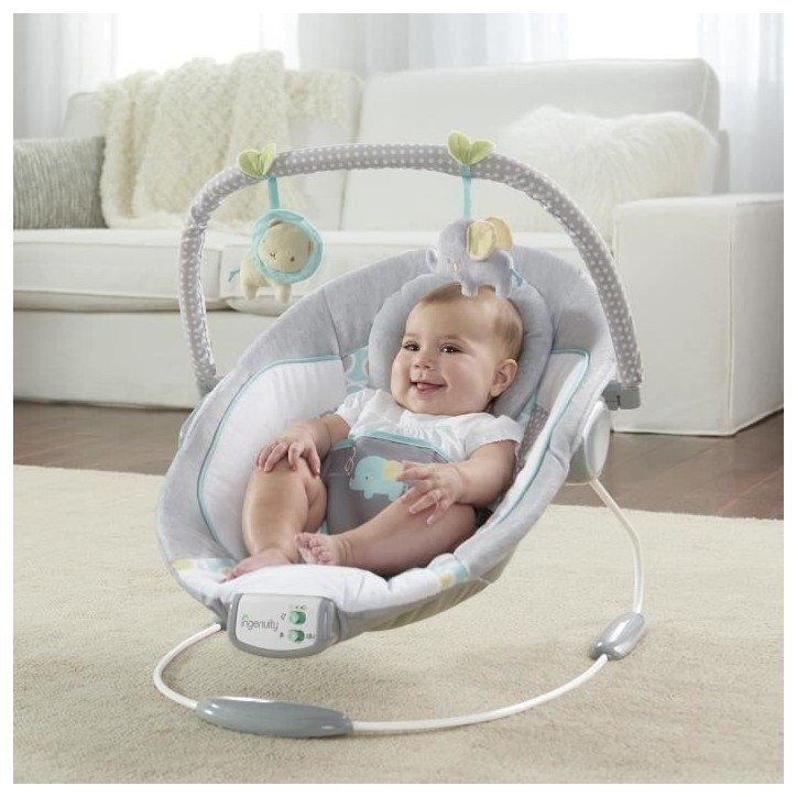 INGENUITY Transat pour bébé-Morrison- Arche avec jouets d'éveil amovible, 8 Mélodies, Vibrations apaisantes, Cadeau Noel bé INGENUITY Transat pour bébé-Morrison- Arche avec jouets d'éveil amovible, 8 Mélodies, Vibrations apaisantes, Cadeau Noel bé