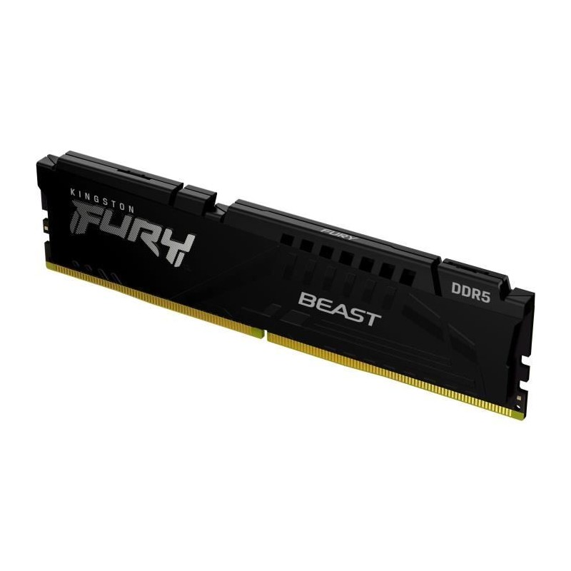 Mémoire DDR5 - KINGSTON - FURY Beast EXPO - 16 Go - 3200 Mhz - CL36 Mémoire DDR5 - KINGSTON - FURY Beast EXPO - 16 Go - 3200 Mhz - CL36