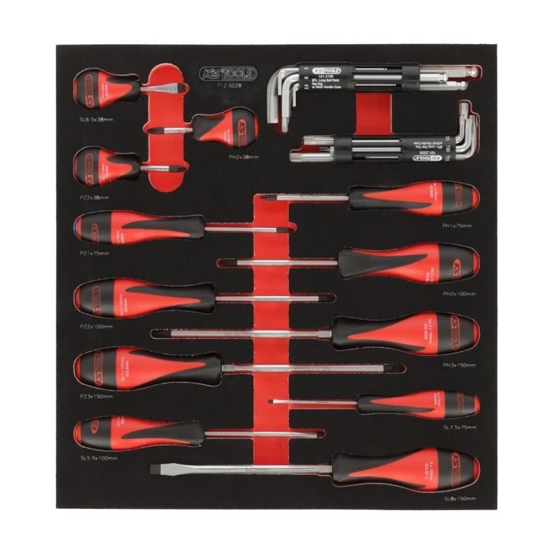 Module - KS TOOLS - 712.5028 - Module de vissage - 28 pieces - Pour se Module - KS TOOLS - 712.5028 - Module de vissage - 28 pieces - Pour se